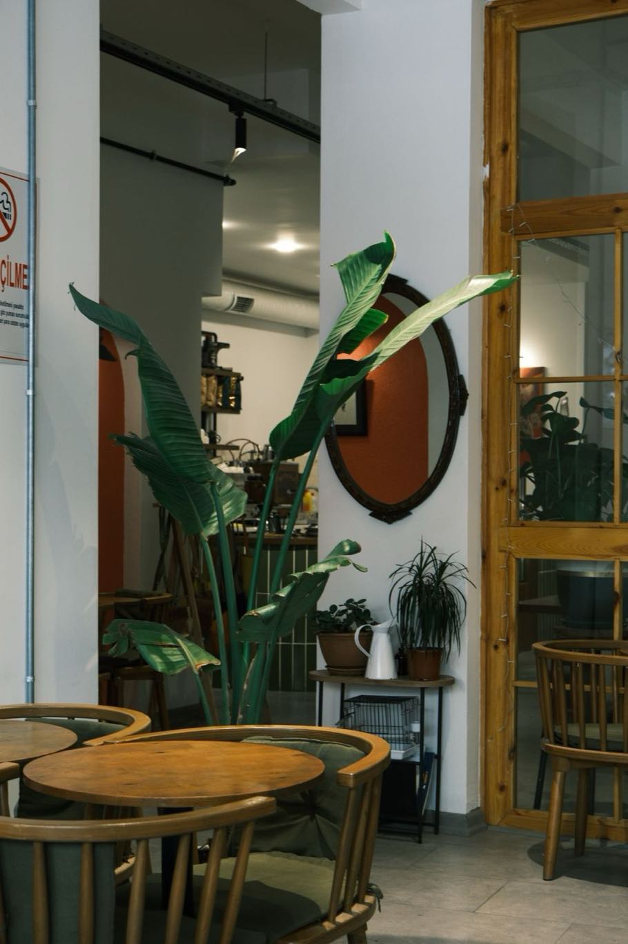 The café interior with mismatched wooden chairs and plants on the windowsill